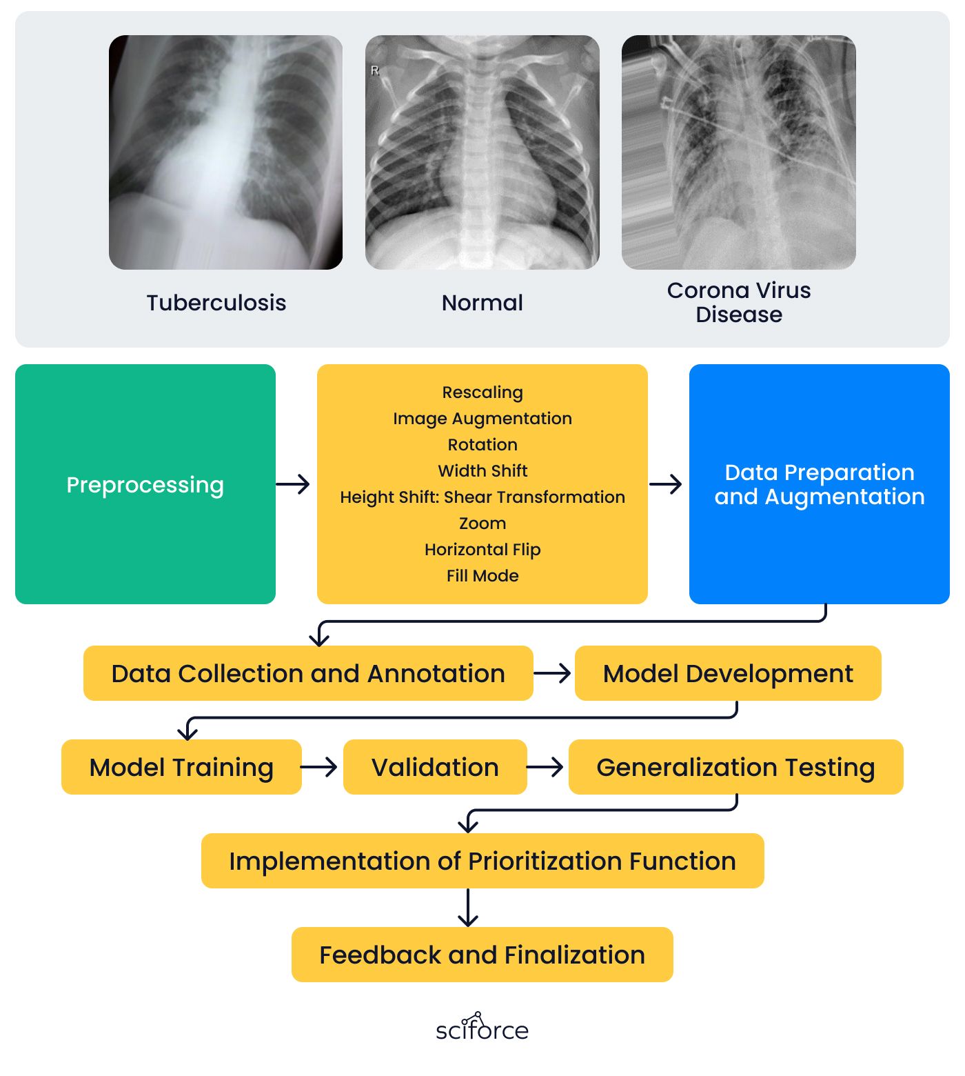 04_Lung.jpg